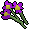 Purple flowers.png